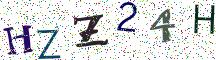 HZZ24H