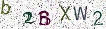 b2BXW2