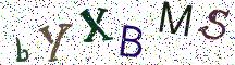bYXBMS