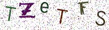 TZeTFS