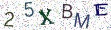 25XBME