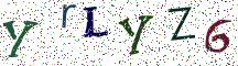 YrLYZ6