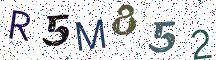 R5M852