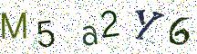 M5a2Y6