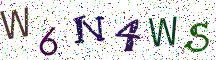 W6N4WS