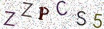 ZZPCS5