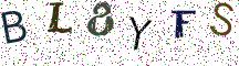 BL8YFS