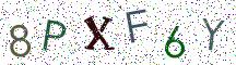 8PXF6Y