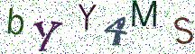 bYY4MS