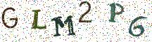 GLM2P6