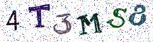 4T3MS8