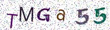 TMGa55
