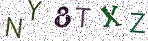 NY8TXZ