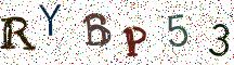 RYBP53