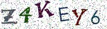 Z4KEY6