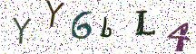 YY6bL4