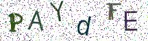 PAYdFE