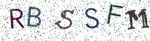 RBSSFM