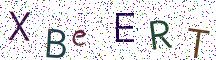XBeERT