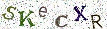 SKeCXR