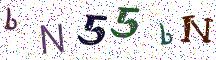 bN55bN