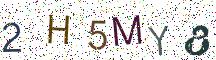 2H5MY8