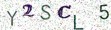 Y2SCL5
