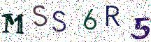 MSS6R5