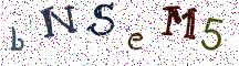 bNSeM5