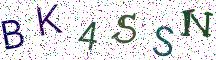 BK4SSN
