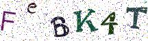 FeBK4T