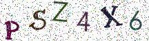 PSZ4X6