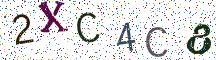 2XC4C8