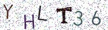 YHLT36
