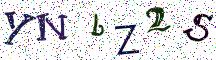 YNbZ2S