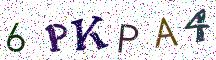 6PKPA4