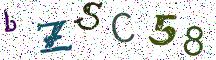 bZSC58