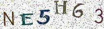 NE5H63