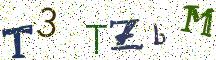 T3TZbM