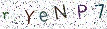 rYeNP7