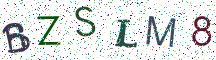 BZSLM8