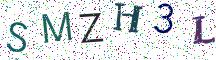 SMZH3L
