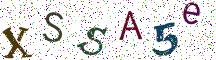 XSSA5e