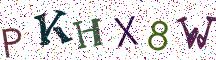 PKHX8W
