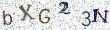 bXG23N