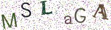 MSLaGA