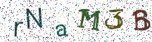 rNaM3B