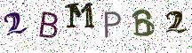 2BMPB2
