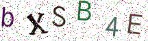 bXSB4E