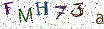 FMH73a